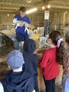 EYFS-Farm-Visit-1