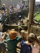 EYFS-Farm-Visit-3
