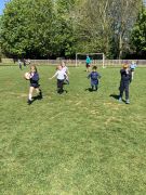 Rugby-F
