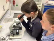 Science-5